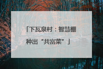 下瓦泉村：智慧棚种出“共富菜”