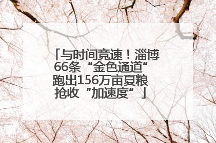 与时间竞速！淄博66条“金色通道”跑出156万亩夏粮抢收“加速度”