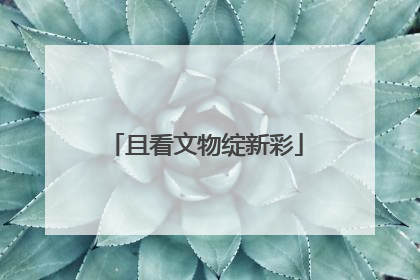 且看文物绽新彩