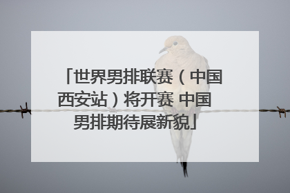 世界男排联赛（中国西安站）将开赛 中国男排期待展新貌