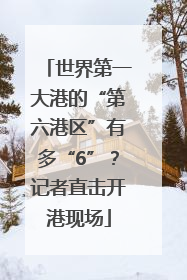 世界第一大港的“第六港区”有多“6”？记者直击开港现场