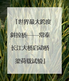 世界最大跨度斜拉桥——常泰长江大桥启动桥梁荷载试验