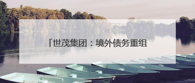 世茂集团：境外债务重组计划不晚于8月29日生效，将削债115亿美元