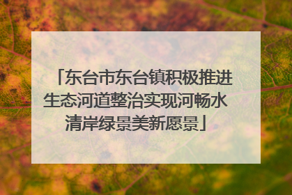 东台市东台镇积极推进生态河道整治实现河畅水清岸绿景美新愿景