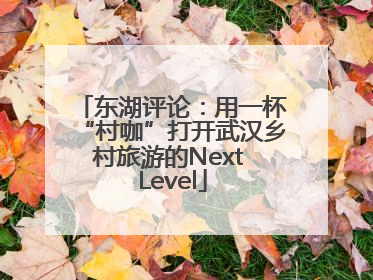 东湖评论：用一杯“村咖”打开武汉乡村旅游的Next Level