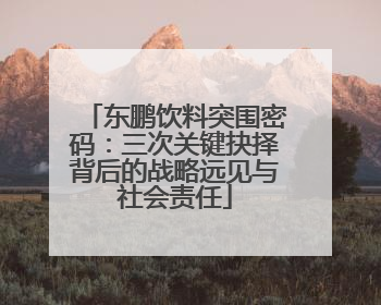 东鹏饮料突围密码：三次关键抉择背后的战略远见与社会责任