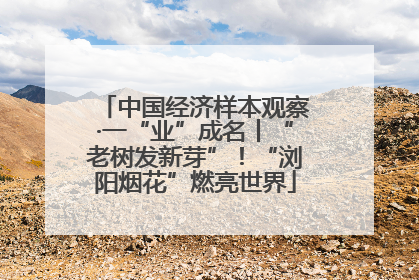 中国经济样本观察·一“业”成名丨“老树发新芽”！“浏阳烟花”燃亮世界