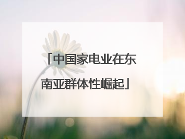 中国家电业在东南亚群体性崛起