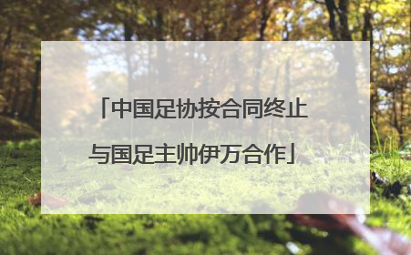 中国足协按合同终止与国足主帅伊万合作