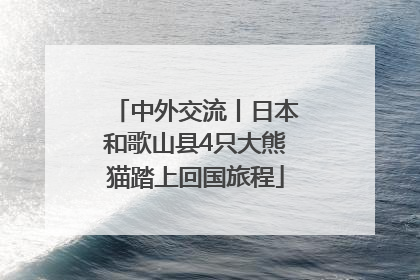 中外交流丨日本和歌山县4只大熊猫踏上回国旅程