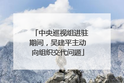 中央巡视组进驻期间，吴建平主动向组织交代问题
