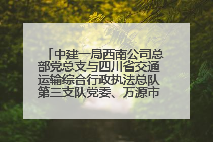中建一局西南公司总部党总支与四川省交通运输综合行政执法总队第三支队党委、万源市草坝镇莲花院村党支部开展党建联建