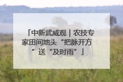 中新武威观｜农技专家田间地头“把脉开方”送“及时雨”