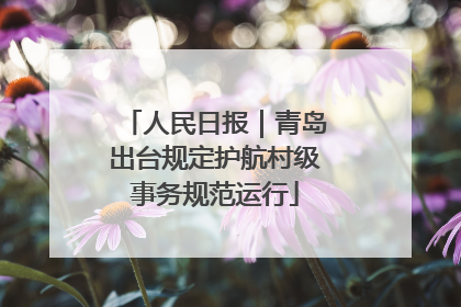 人民日报｜青岛出台规定护航村级事务规范运行