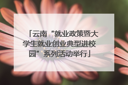 云南“就业政策暨大学生就业创业典型进校园”系列活动举行