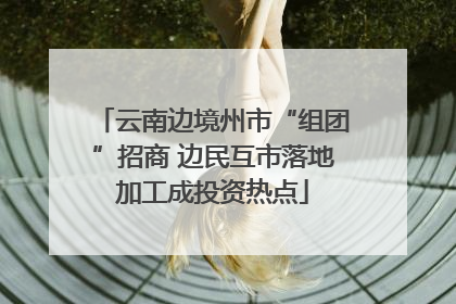 云南边境州市“组团”招商 边民互市落地加工成投资热点