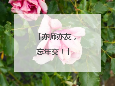 亦师亦友，忘年交！