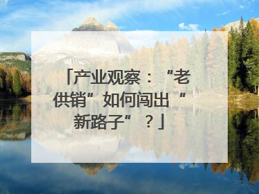 产业观察：“老供销”如何闯出“新路子”？