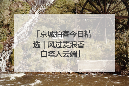 京城拍客今日精选｜风过麦浪香 白塔入云端