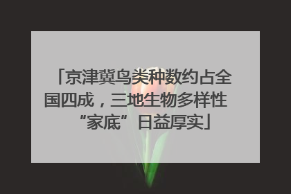 京津冀鸟类种数约占全国四成，三地生物多样性“家底”日益厚实