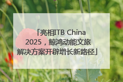 亮相ITB China 2025，鲸鸿动能文旅解决方案开辟增长新路径