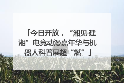 今日开放，“湘见·建湘”电竞动漫嘉年华与机器人科普展超“燃”