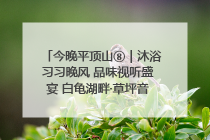 今晚平顶山⑧｜沐浴习习晚风 品味视听盛宴 白龟湖畔·草坪音乐会激情上演