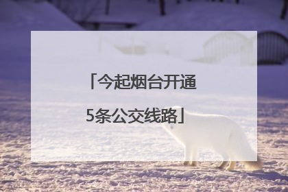 今起烟台开通5条公交线路