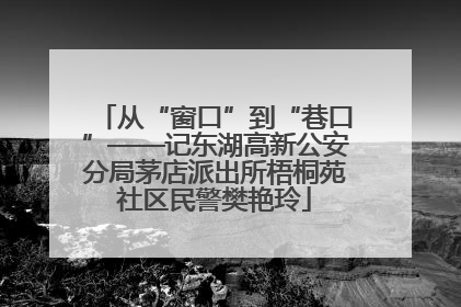 从“窗口”到“巷口”——记东湖高新公安分局茅店派出所梧桐苑社区民警樊艳玲