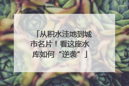 从积水洼地到城市名片！看这座水库如何“逆袭”