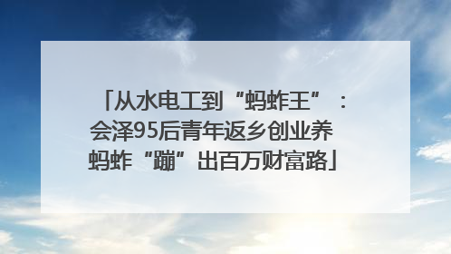 从水电工到“蚂蚱王”：会泽95后青年返乡创业养蚂蚱“蹦”出百万财富路