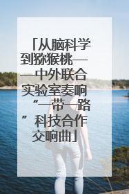 从脑科学到猕猴桃——中外联合实验室奏响“一带一路”科技合作交响曲