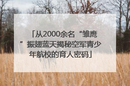 从2000余名“雏鹰”振翅蓝天揭秘空军青少年航校的育人密码
