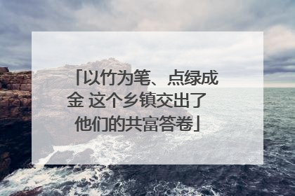 以竹为笔、点绿成金 这个乡镇交出了他们的共富答卷