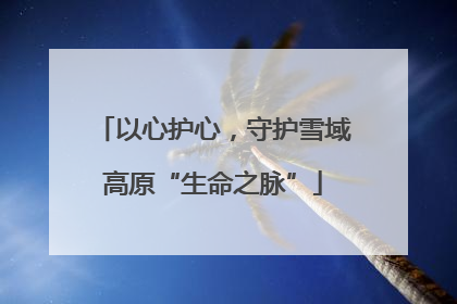 以心护心，守护雪域高原“生命之脉”