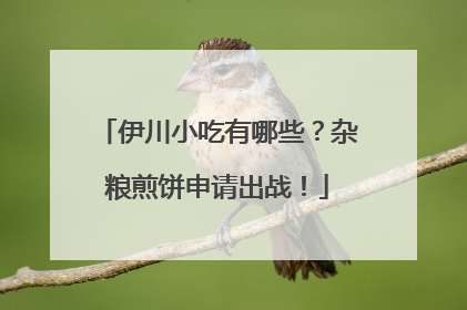 伊川小吃有哪些？杂粮煎饼申请出战！
