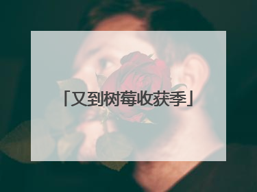 又到树莓收获季