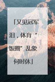 又见冠军泪，体育“饭圈”乱象何时休
