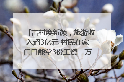 古村焕新颜，旅游收入超3亿元 村民在家门口能拿3份工资｜万千气象看四川
