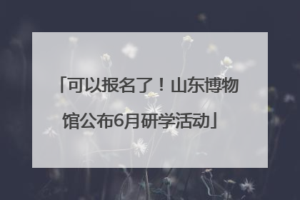 可以报名了！山东博物馆公布6月研学活动