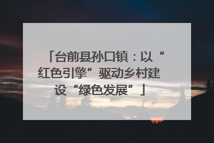 台前县孙口镇：以“红色引擎”驱动乡村建设“绿色发展”