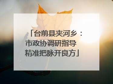台前县夹河乡：市政协调研指导 精准把脉开良方