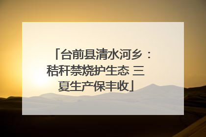 台前县清水河乡：秸秆禁烧护生态 三夏生产保丰收