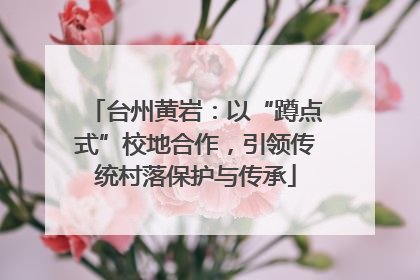 台州黄岩：以“蹲点式”校地合作，引领传统村落保护与传承