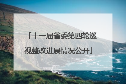 十一届省委第四轮巡视整改进展情况公开