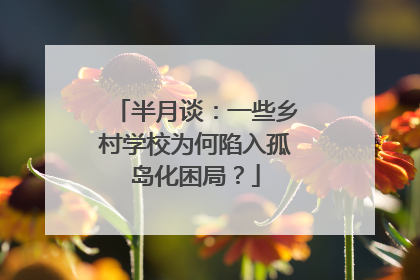 半月谈：一些乡村学校为何陷入孤岛化困局？