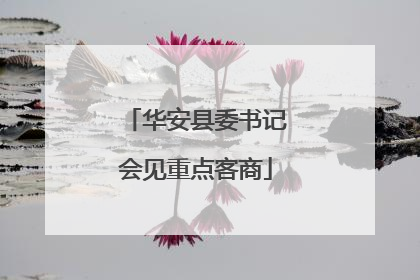 华安县委书记会见重点客商