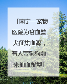 南宁一宠物医院为贫血警犬征集血源，有人带狗狗前来抽血配型