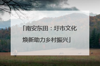 南安东田：圩市文化焕新助力乡村振兴