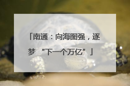 南通：向海图强，逐梦 “下一个万亿”